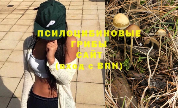 трава Абинск