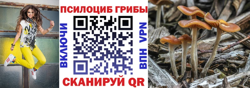 Псилоцибиновые грибы мицелий Шахунья